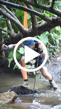 BIB:  <button type="button" onclick="openModal(27808516)" class="btn btn-primary btn-sm float-right" data-toggle="modal" data-target=".modal-high-quality">
                <i class="fa fa-download"></i> Download
                </button>